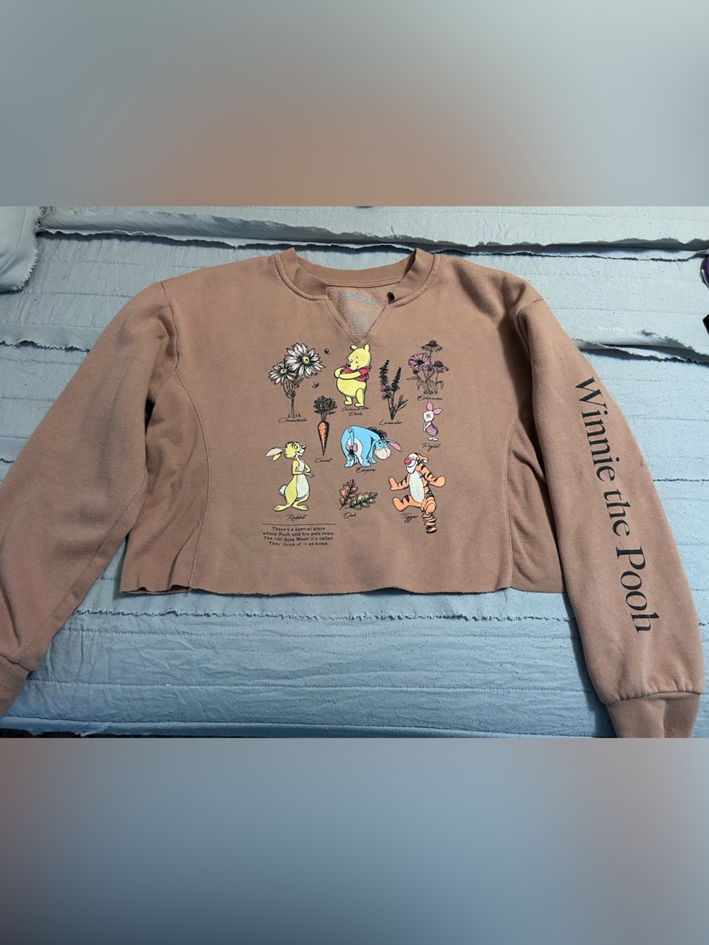 Disney Winnie the Pooh Brown Cropped Sweatshirt with Multicolor Characters